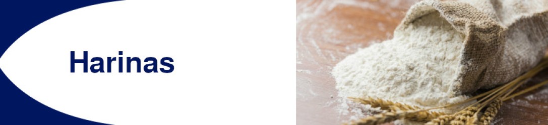 banner_al_por_mayor_harina95