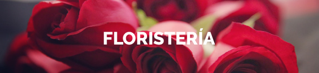 tn-categoria-floristeria