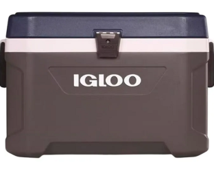 156187561