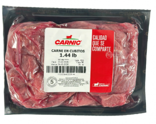 carnic04
