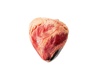 corazonv