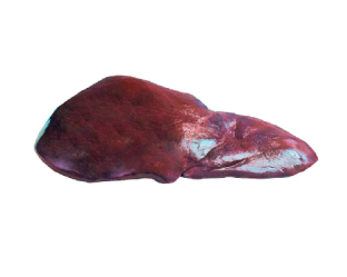 higadores)