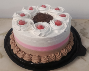 napolitano2