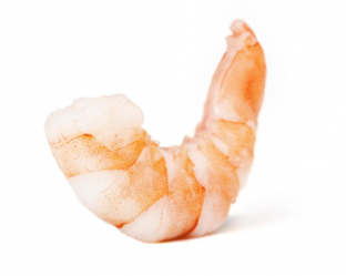 pescados04
