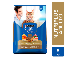 purinacat