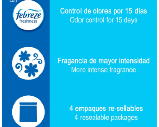 semana24agosto03